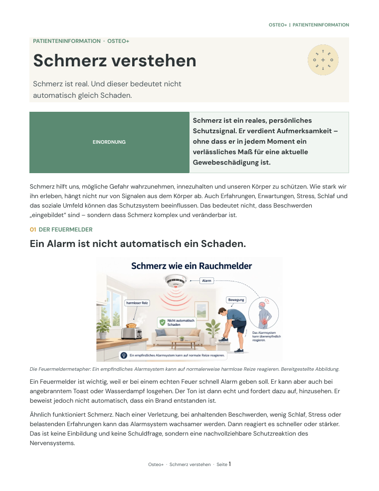 Titelseite des Infoblatts Schmerz verstehen