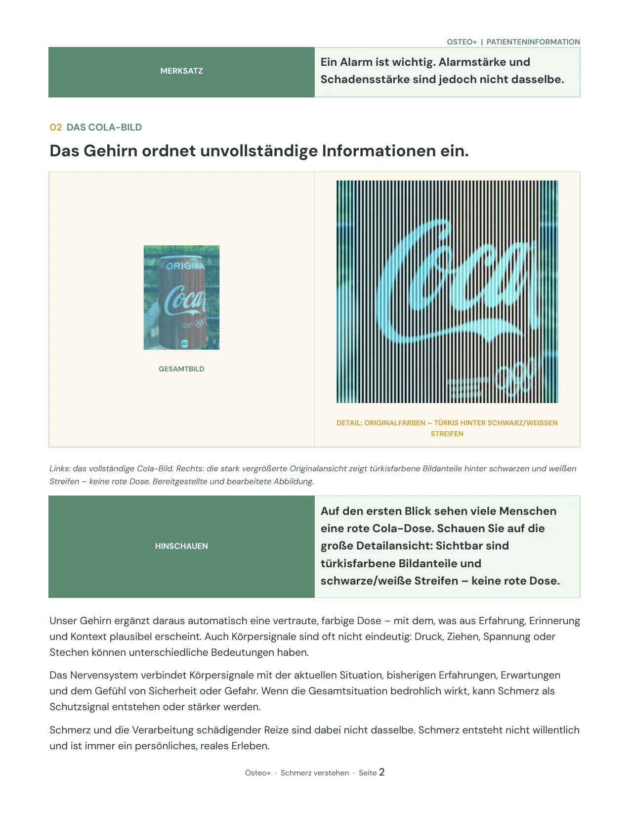 Seite 2 des Infoblatts Schmerz verstehen